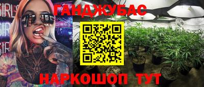 прущие крисы Будённовск